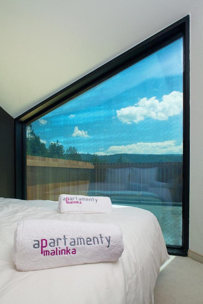 Apartamenty Malinka Wisla Bagian luar foto